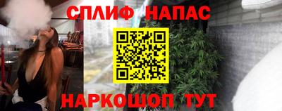 стаф Будённовск