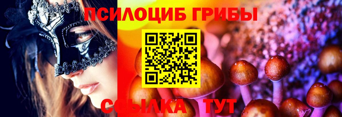 Псилоцибиновые грибы Cubensis Котовск