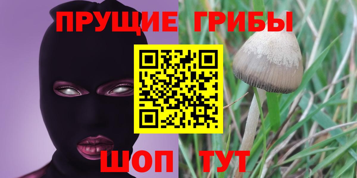 Котовск  Псилоцибиновые грибы Psilocybine cubensis  Галлюциногенные грибы Magic Shrooms  Вход с VPN 